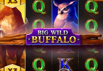 Игра Big Wild Buffalo в Beef Casino